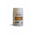 Ginsa Karela Powder 100g | Pure Ayurvedic Bitter Gourd Powder for Digestion, Detox & Wellness