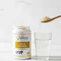 Ginsa Amla Powder 100g | Pure Ayurvedic Amla Powder for Immunity, Hair & Skin Health