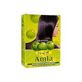 Hesh Herbal Amla Dark & Healthy Hair Naturally - 100 gms hesg by hesg
