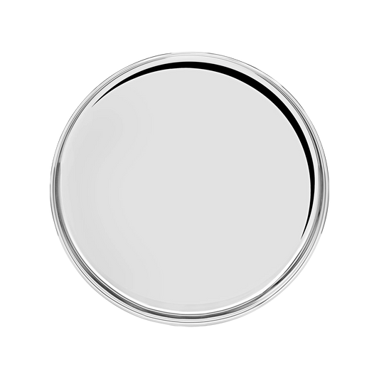 Riar Stainles Steel Khomcha Chapti BDN Plain Dinner Plate - 26 cm, Silver Finish