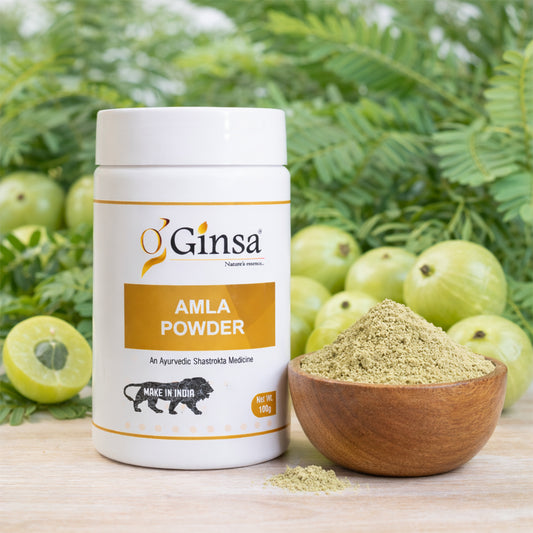 Ginsa Amla Powder 100g | Pure Ayurvedic Amla Powder for Immunity, Hair & Skin Health