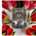 RIAR Stainless Steel Silver Touch Dollar Rectangular Tray – Modern Style