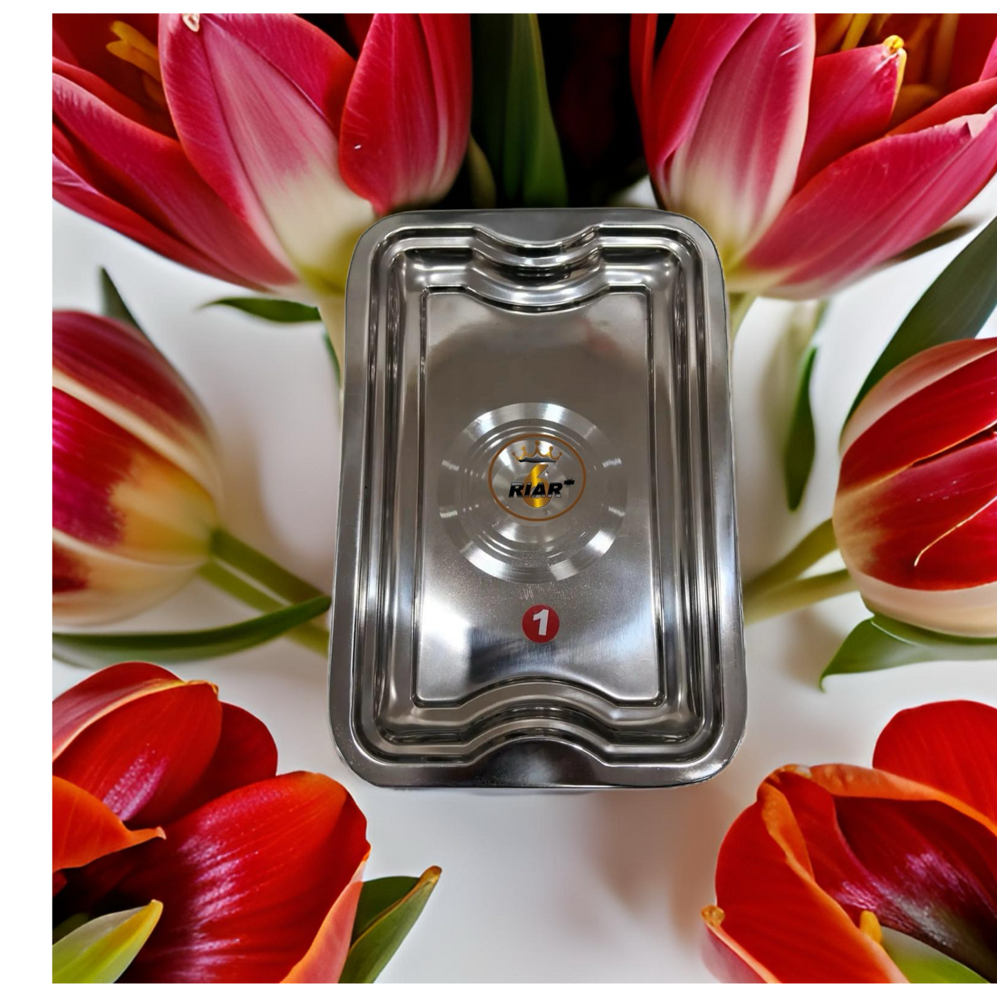 RIAR Stainless Steel Silver Touch Dollar Rectangular Tray – Modern Style