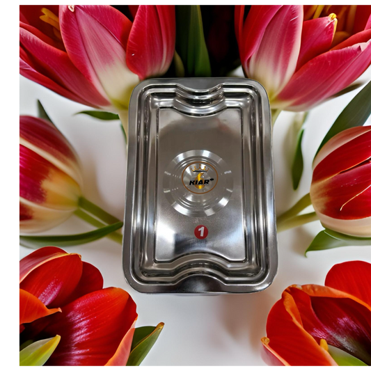 RIAR Stainless Steel Silver Touch Dollar Rectangular Tray – Modern Style