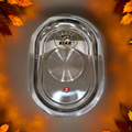 Riar Stainless Steel Silver Touch Capsule Oval Tray – Modern Style, 24 cm Length, 14 cm Width, 1.5 cm Height