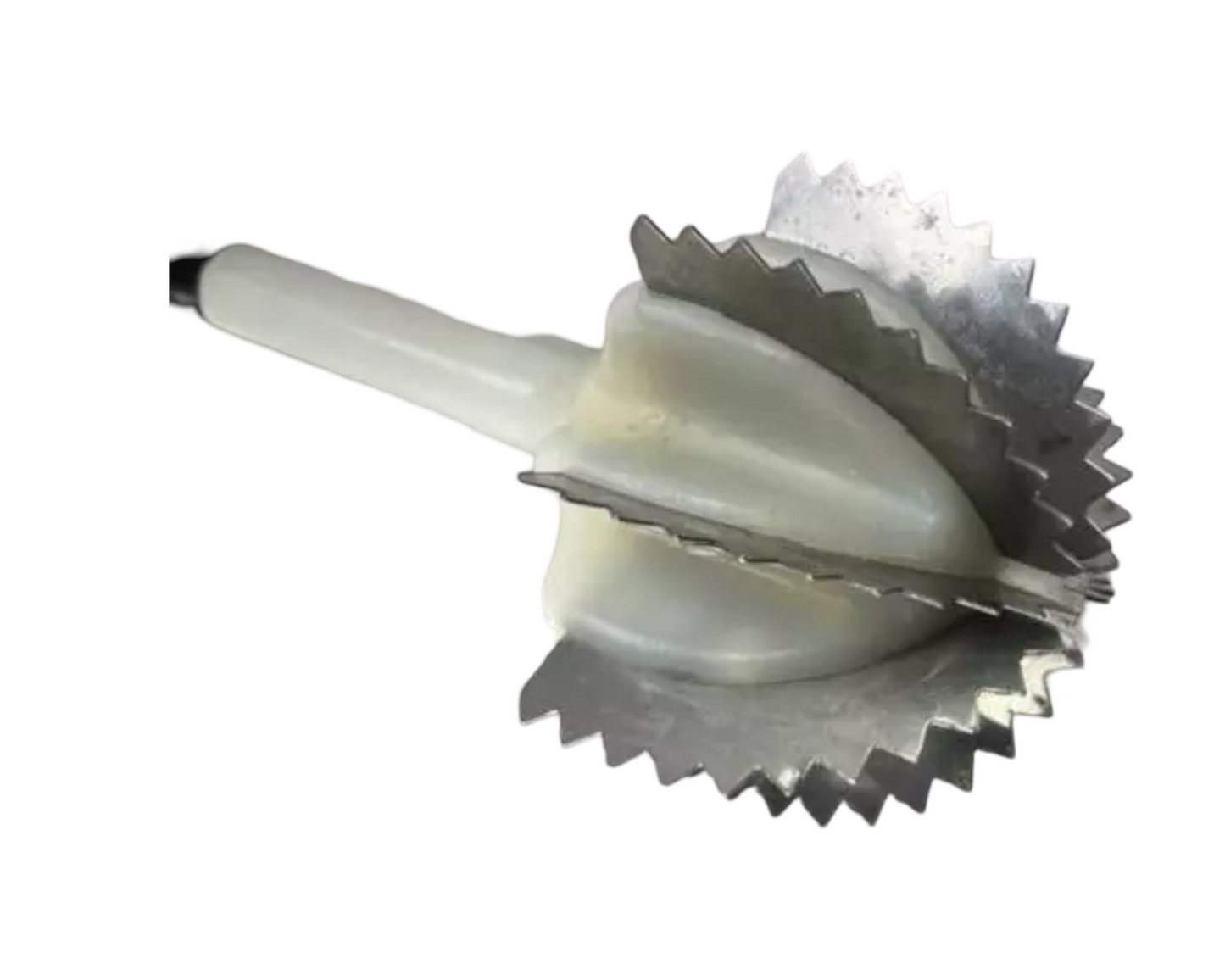 Action Stainless Steel Coconut Scraper – Modern Kitchen Utensil