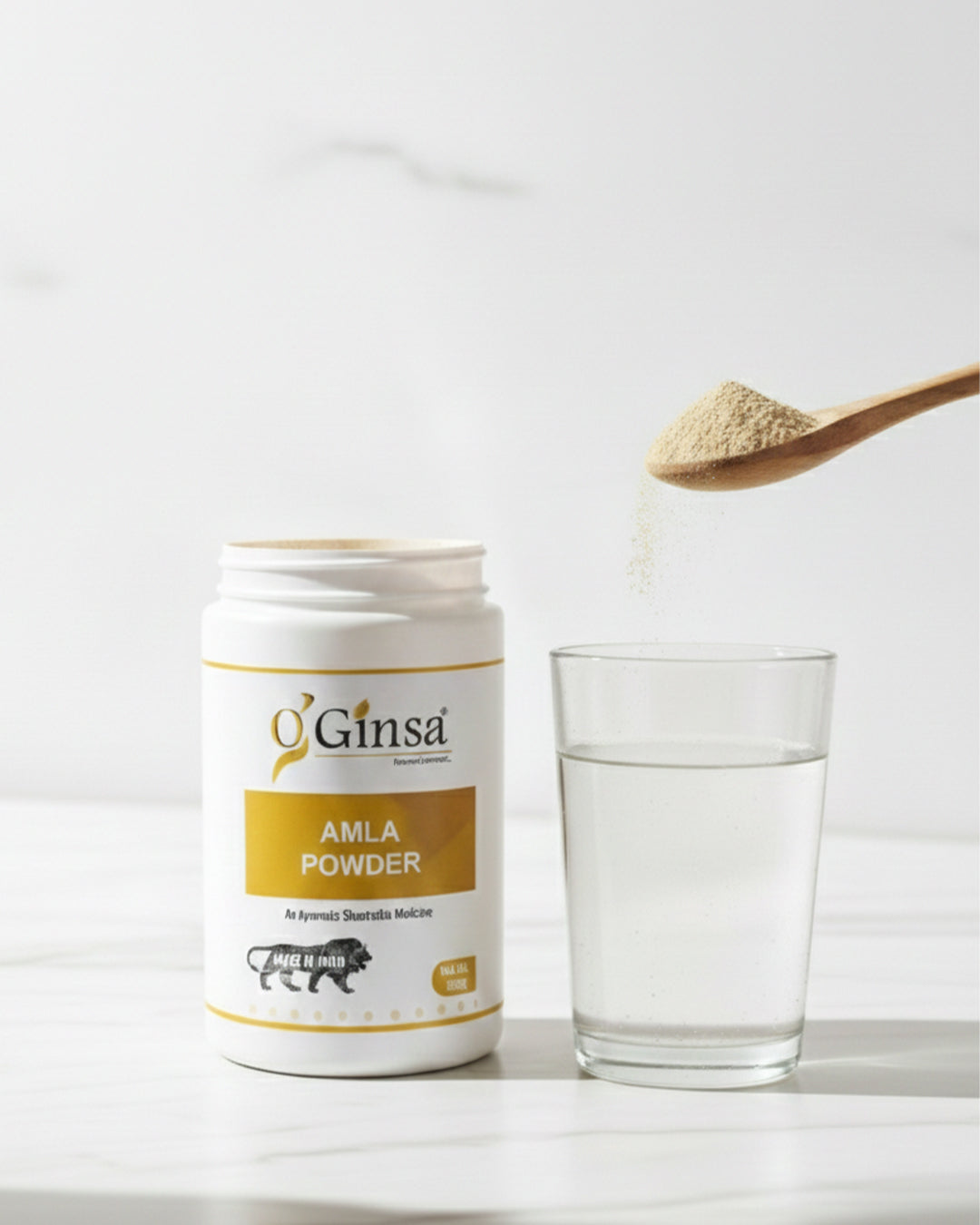 Ginsa Amla Powder 100g | Pure Ayurvedic Amla Powder for Immunity, Hair & Skin Health