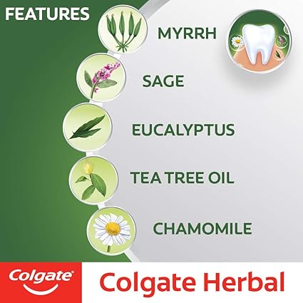 Colgate Herbal Toothpaste – Natural Herbal Protection for Strong, Healthy Teeth