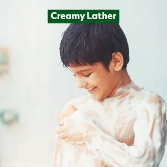 Dettol Original Soap, 100 gm