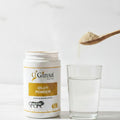 Ginsa Giloy Powder 100g | Pure Ayurvedic Giloy Powder for Immunity, Detox & Wellness